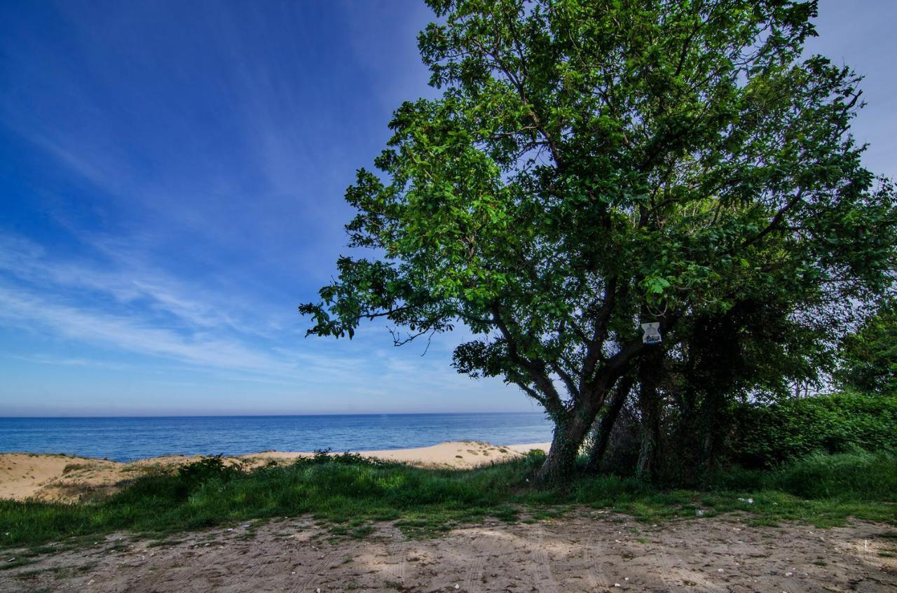 Alex Village Shkorpilovtsi Zewnętrze zdjęcie